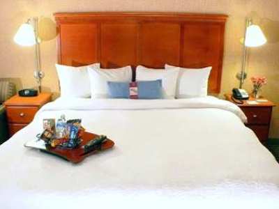 Hotel Hampton Chicago-o'hare International Airport Schiller Park